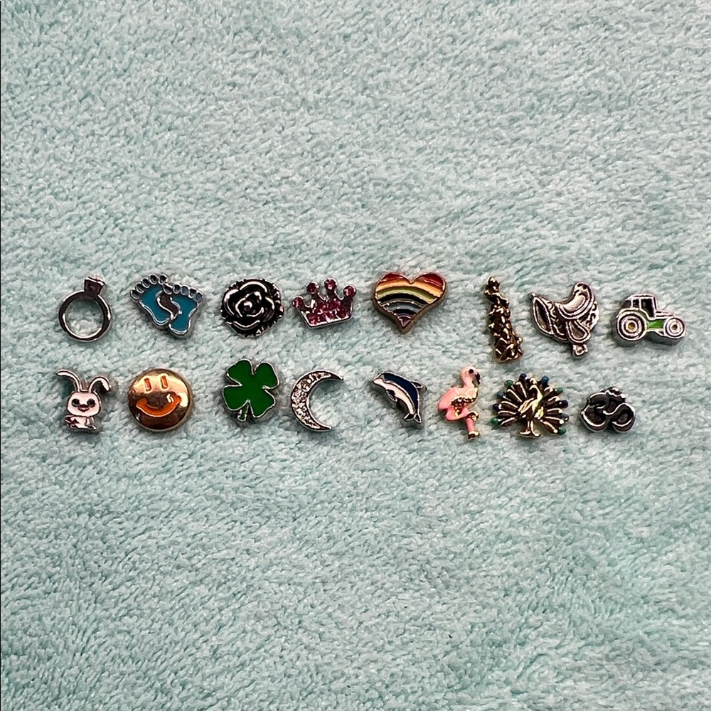 Floating Locket Charms